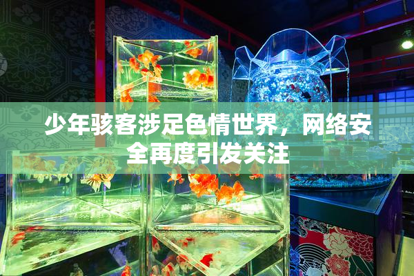 少年骇客涉足色情世界，网络安全再度引发关注