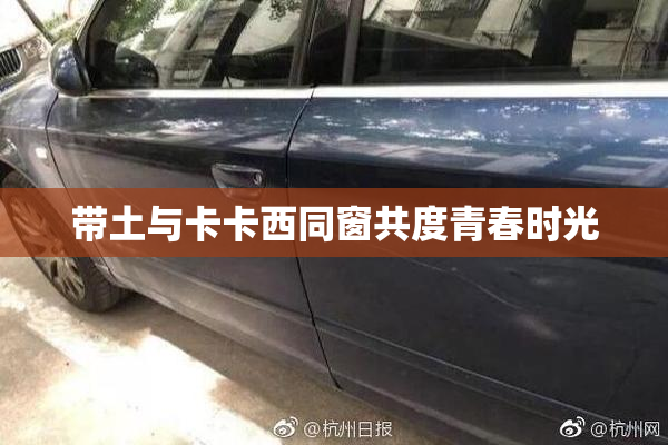 带土与卡卡西同窗共度青春时光