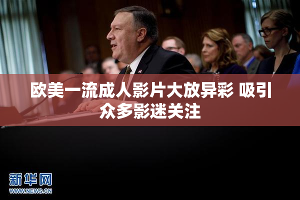 欧美一流成人影片大放异彩 吸引众多影迷关注