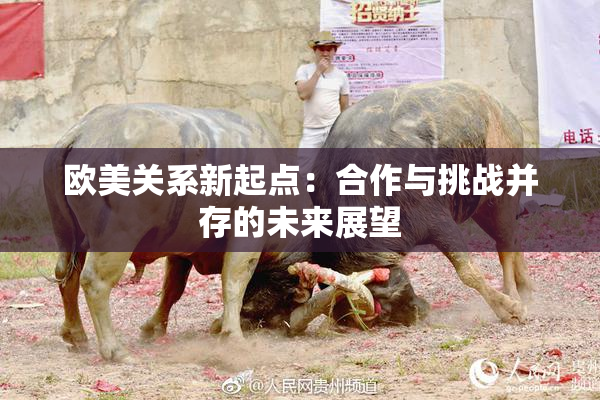 欧美关系新起点：合作与挑战并存的未来展望