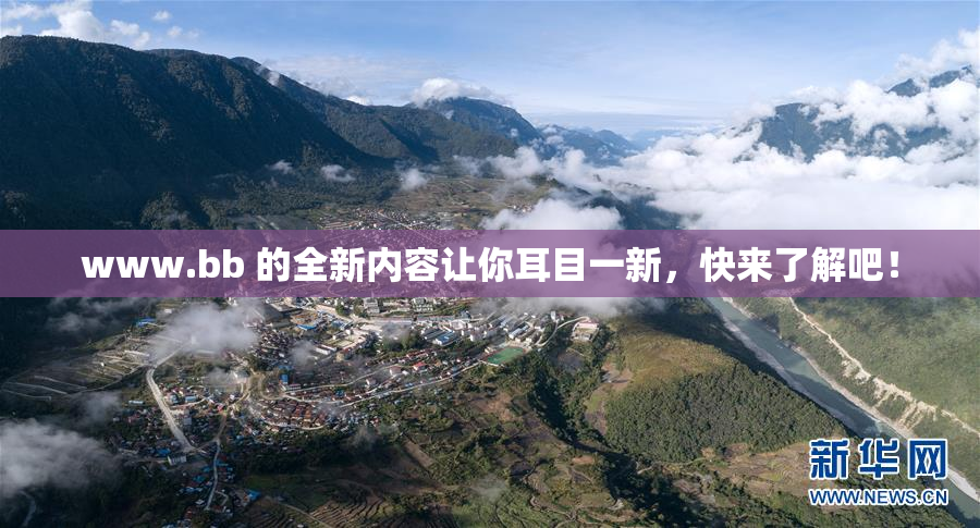 www.bb 的全新内容让你耳目一新，快来了解吧！
