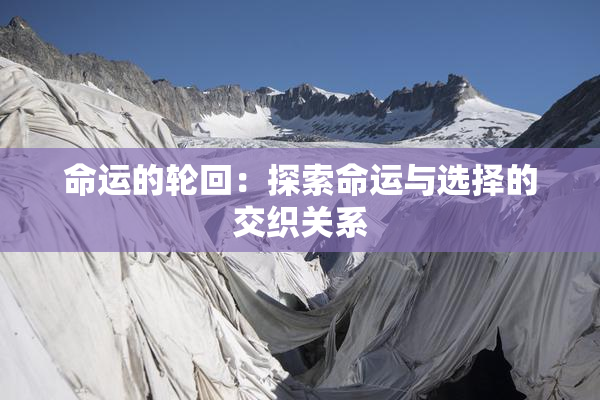 命运的轮回：探索命运与选择的交织关系