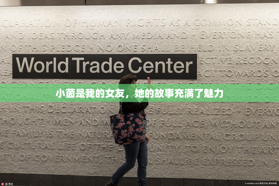 小茵是我的女友，她的故事充满了魅力