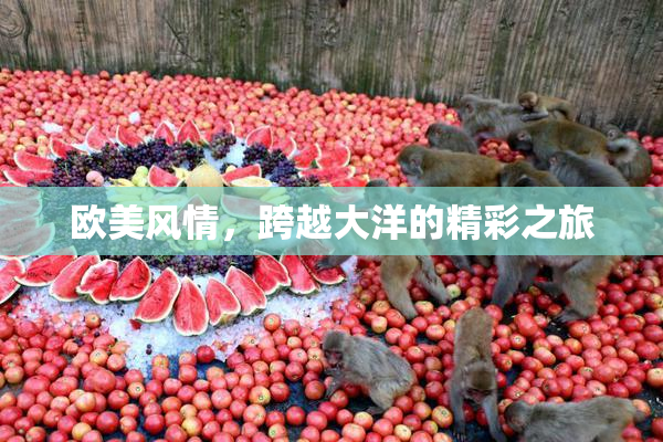 欧美风情，跨越大洋的精彩之旅