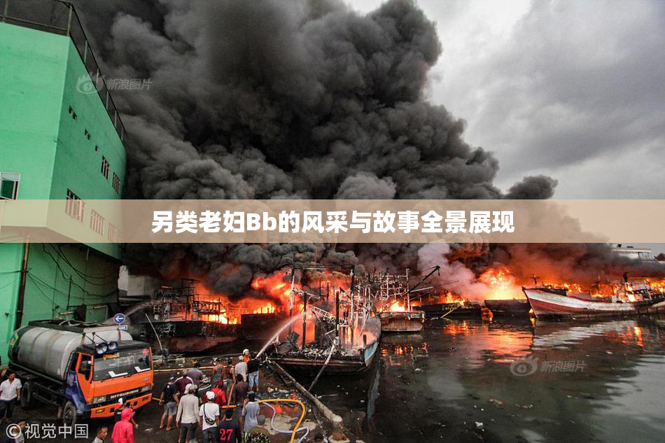 另类老妇Bb的风采与故事全景展现
