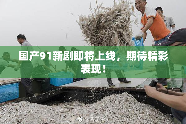国产91新剧即将上线，期待精彩表现！
