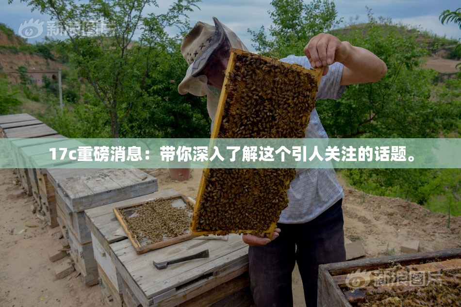 17c重磅消息：带你深入了解这个引人关注的话题。