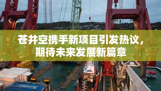 苍井空携手新项目引发热议，期待未来发展新篇章