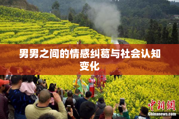 男男之间的情感纠葛与社会认知变化