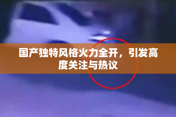 国产独特风格火力全开，引发高度关注与热议