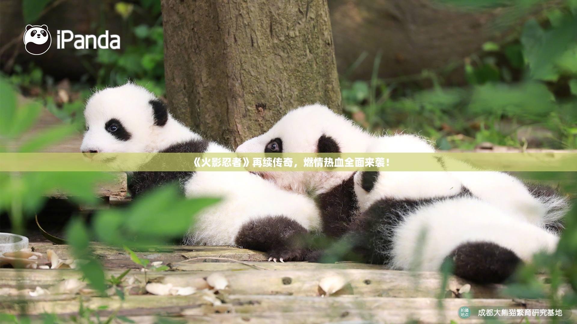 《火影忍者》再续传奇，燃情热血全面来袭！