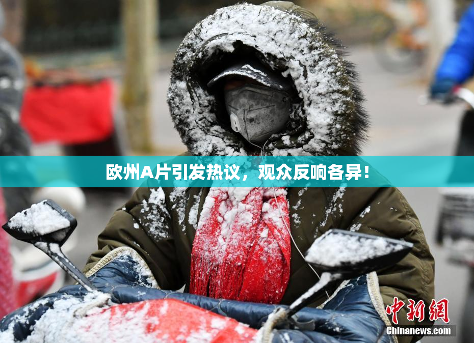 欧州A片引发热议，观众反响各异！