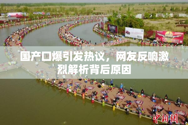 国产囗爆引发热议，网友反响激烈解析背后原因