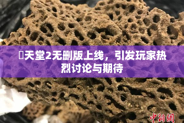 妺天堂2无删版上线，引发玩家热烈讨论与期待