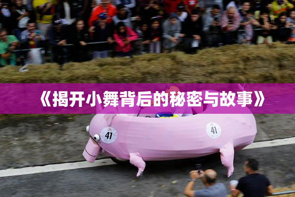 《揭开小舞背后的秘密与故事》