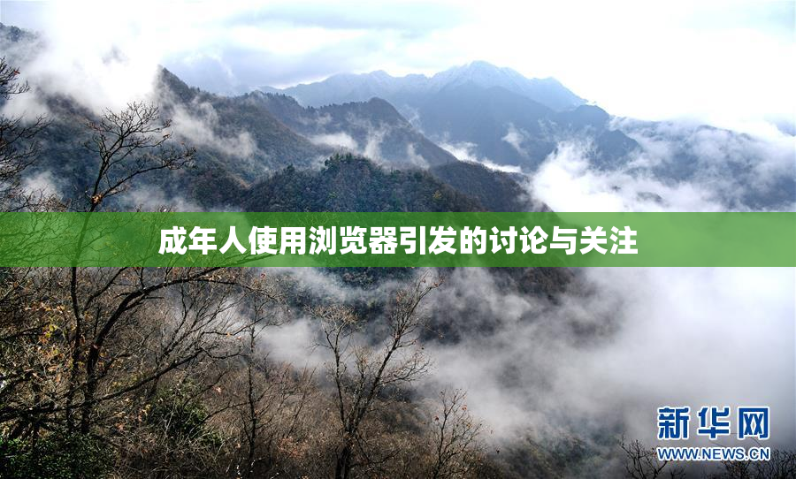 成年人使用浏览器引发的讨论与关注