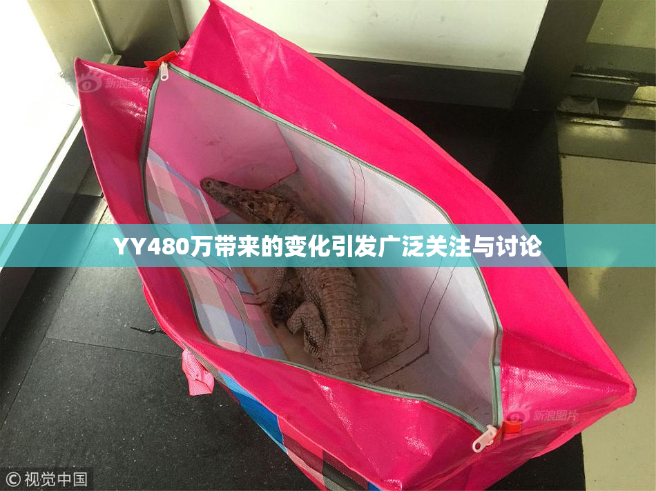 YY480万带来的变化引发广泛关注与讨论
