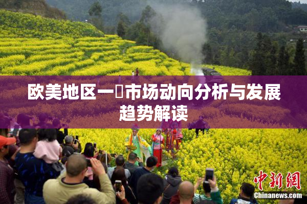 欧美地区一級市场动向分析与发展趋势解读