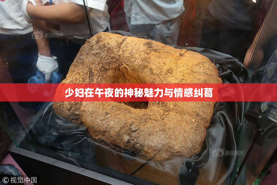 少妇在午夜的神秘魅力与情感纠葛
