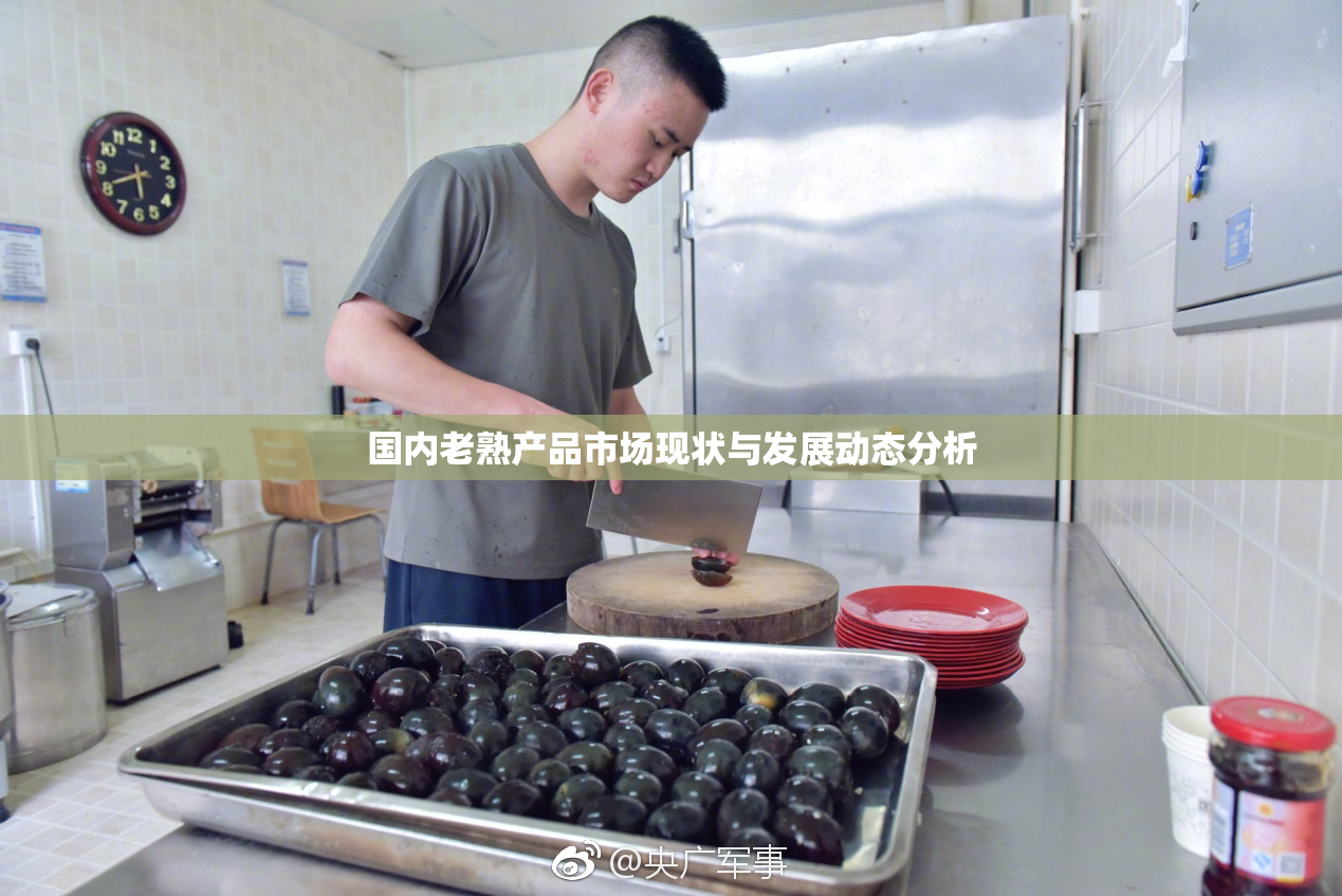 国内老熟产品市场现状与发展动态分析