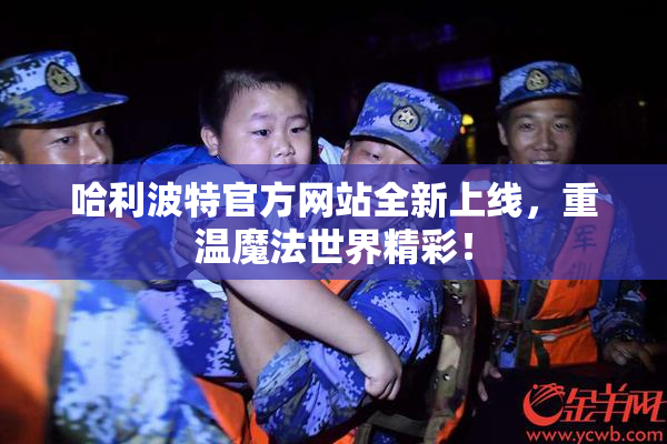 哈利波特官方网站全新上线，重温魔法世界精彩！