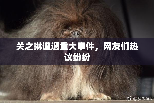 关之琳遭遇重大事件，网友们热议纷纷