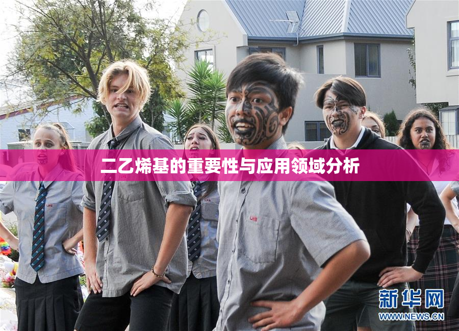 二乙烯基的重要性与应用领域分析