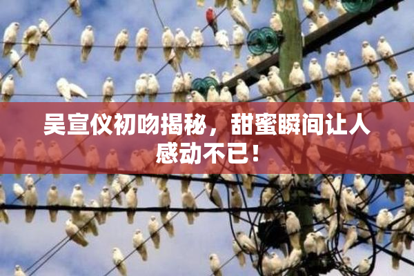 吴宣仪初吻揭秘，甜蜜瞬间让人感动不已！