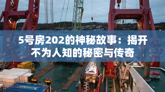 5号房202的神秘故事：揭开不为人知的秘密与传奇