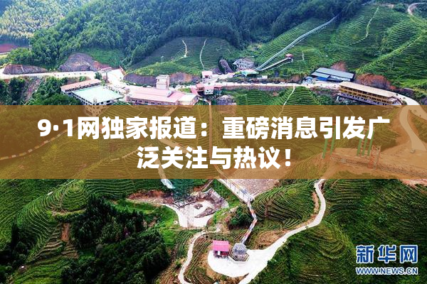 9·1网独家报道：重磅消息引发广泛关注与热议！