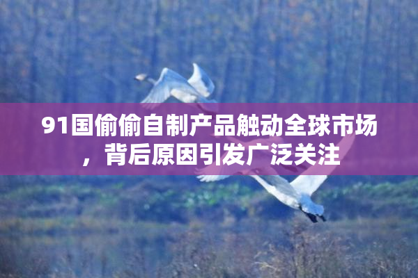 91国偷偷自制产品触动全球市场，背后原因引发广泛关注