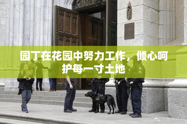 园丁在花园中努力工作，倾心呵护每一寸土地