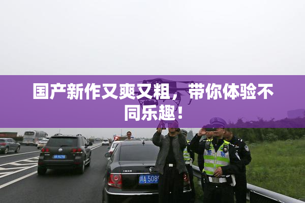 国产新作又爽又粗，带你体验不同乐趣！