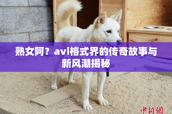 熟女阿？avi格式界的传奇故事与新风潮揭秘