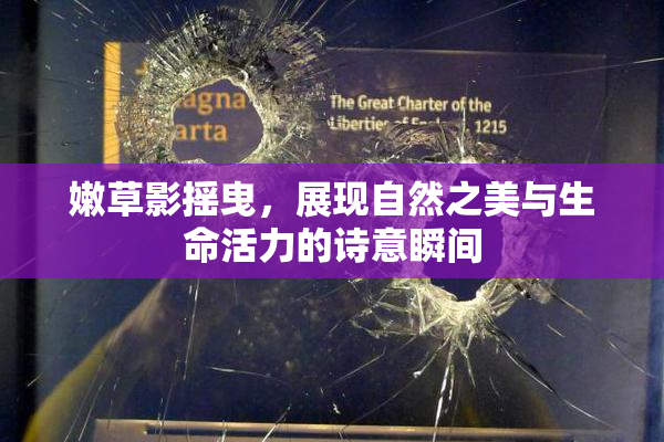 嫩草影摇曳，展现自然之美与生命活力的诗意瞬间