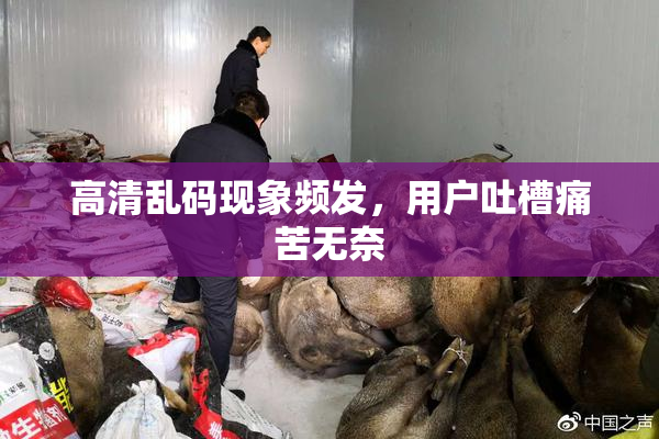 高清乱码现象频发，用户吐槽痛苦无奈