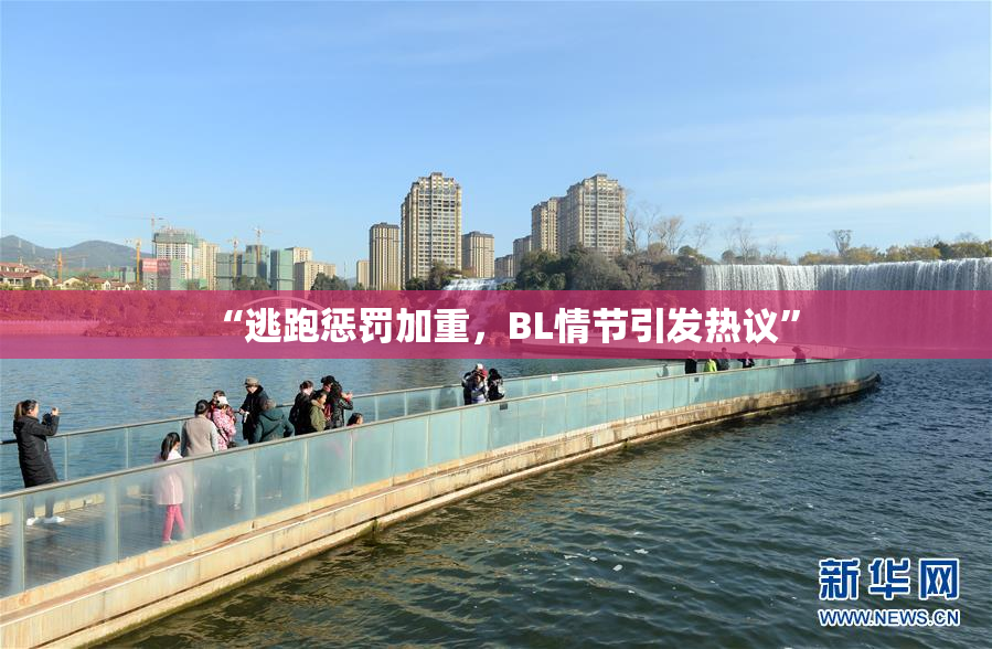“逃跑惩罚加重，BL情节引发热议”