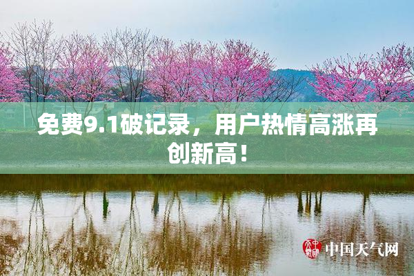 免费9.1破记录，用户热情高涨再创新高！