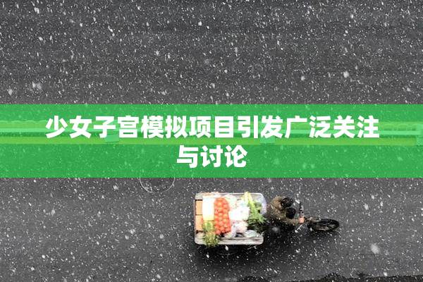 少女子宫模拟项目引发广泛关注与讨论