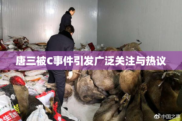 唐三被C事件引发广泛关注与热议