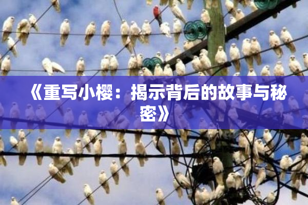 《重写小樱：揭示背后的故事与秘密》