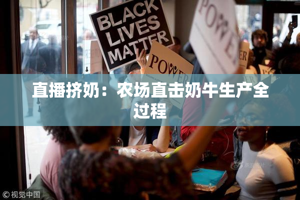 直播挤奶：农场直击奶牛生产全过程