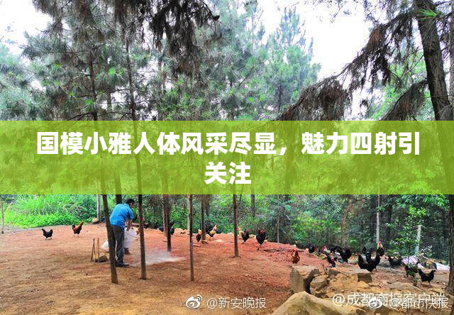 国模小雅人体风采尽显，魅力四射引关注