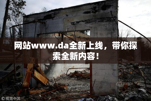 网站www.da全新上线，带你探索全新内容！