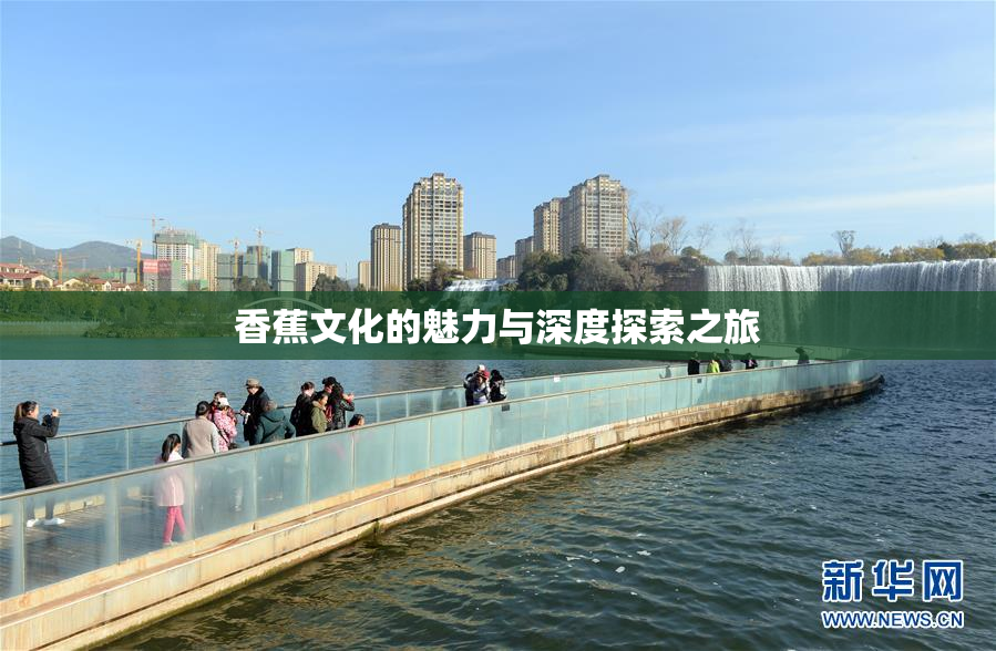 香蕉文化的魅力与深度探索之旅