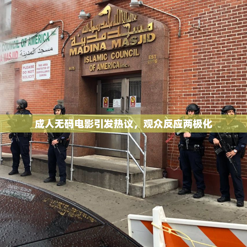 成人无码电影引发热议，观众反应两极化