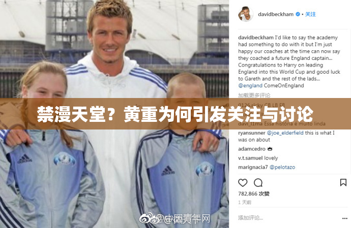 禁漫天堂？黄重为何引发关注与讨论