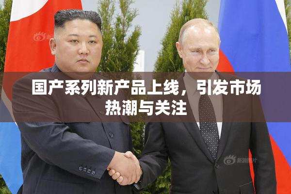 国产系列新产品上线，引发市场热潮与关注
