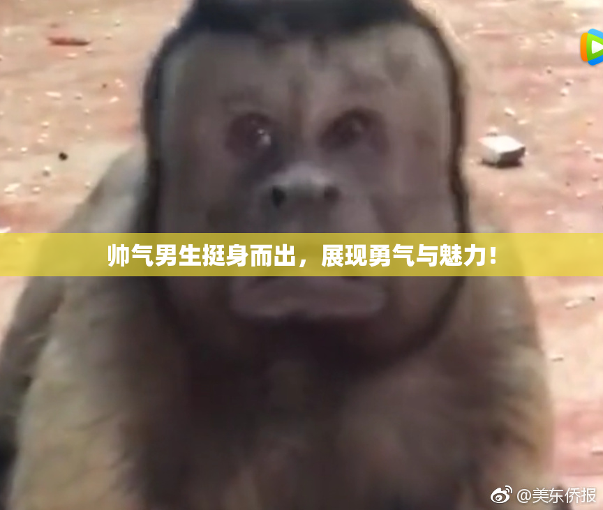 帅气男生挺身而出，展现勇气与魅力！
