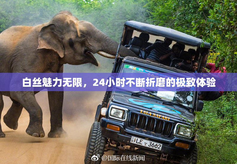 白丝魅力无限，24小时不断折磨的极致体验